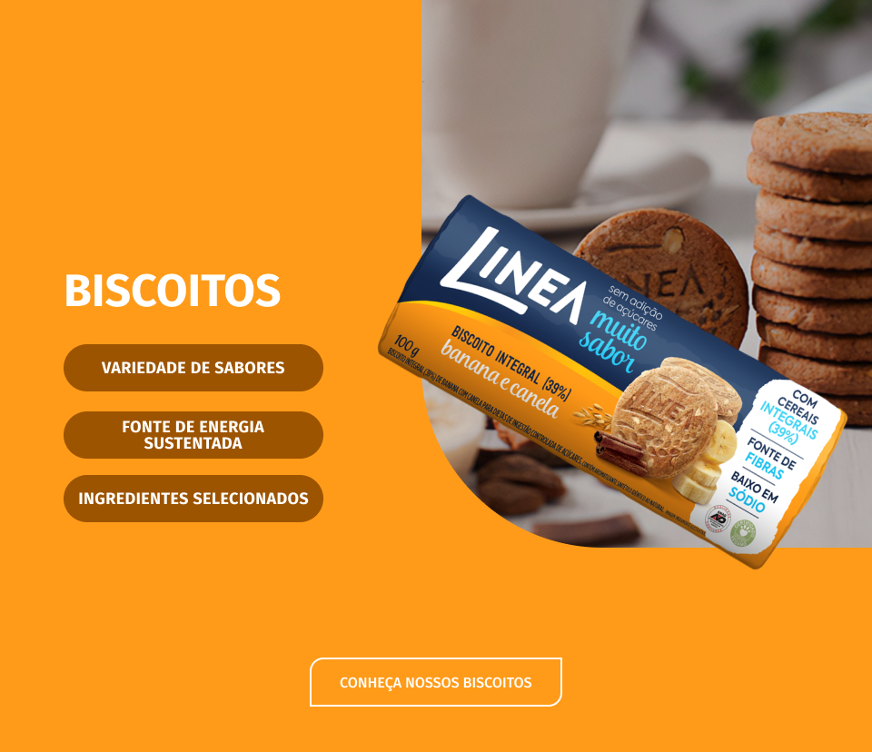 secundario-biscoito_1_
