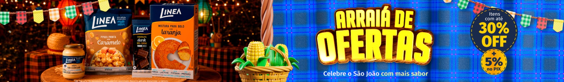 Categoria_desktop_Festa_Junina_1_